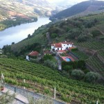 09_Portugal_in_vino_Wein_Reise